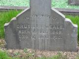 image of grave number 891849